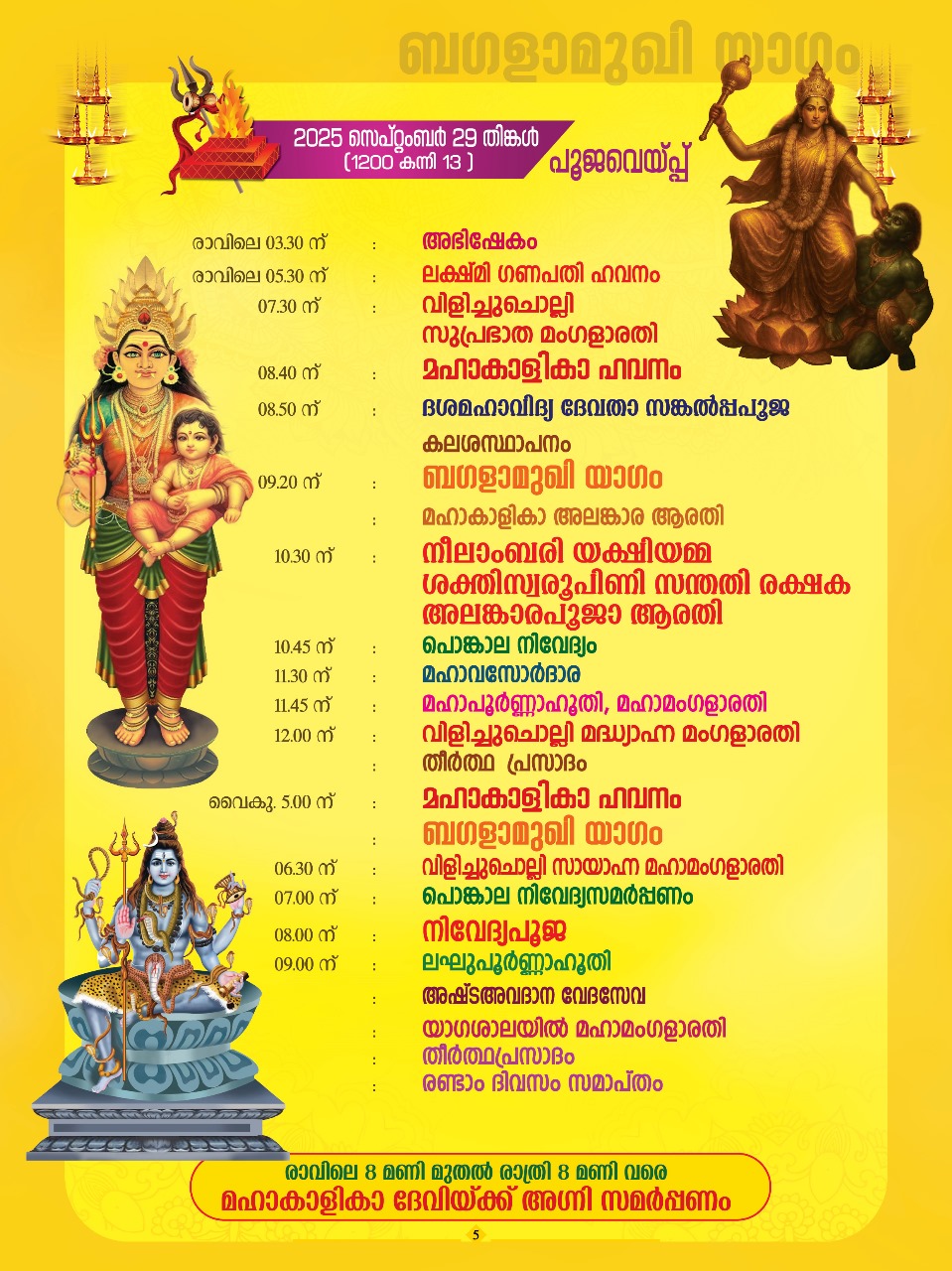 WhatsApp Image 2025-09-27 at 5.19.34 PM